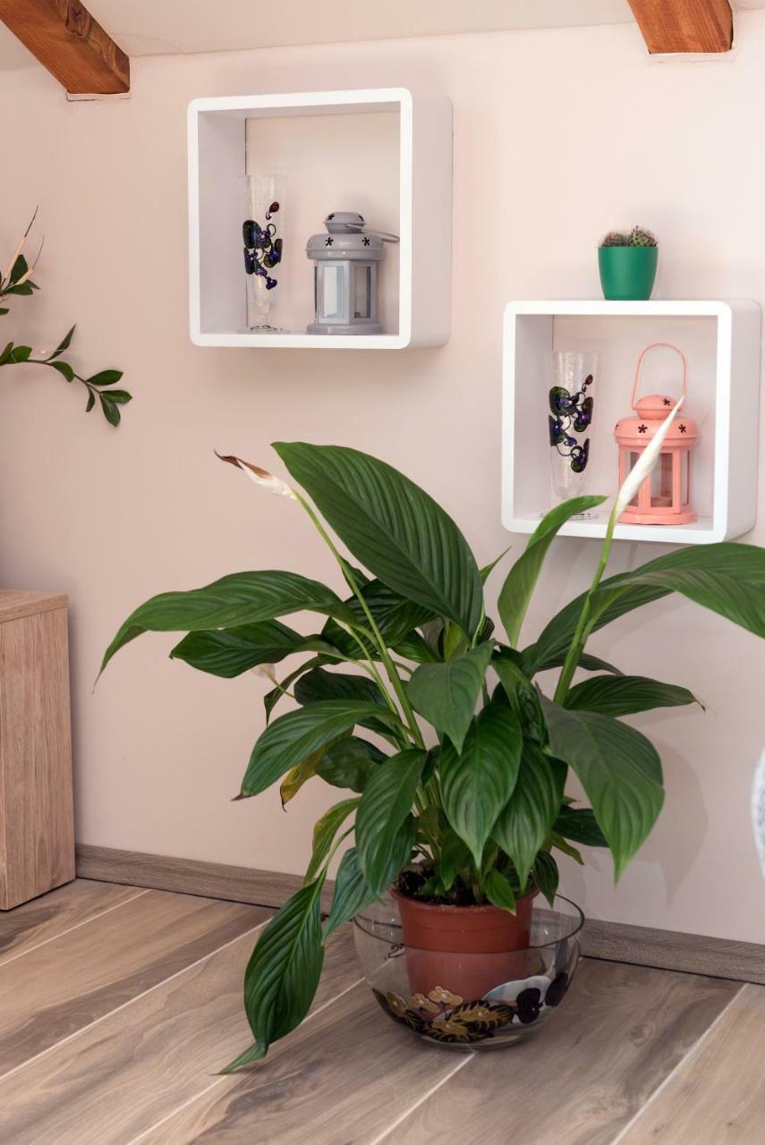 Apartamento Bella Vista